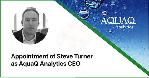 Steve Turner Appointed As CEO