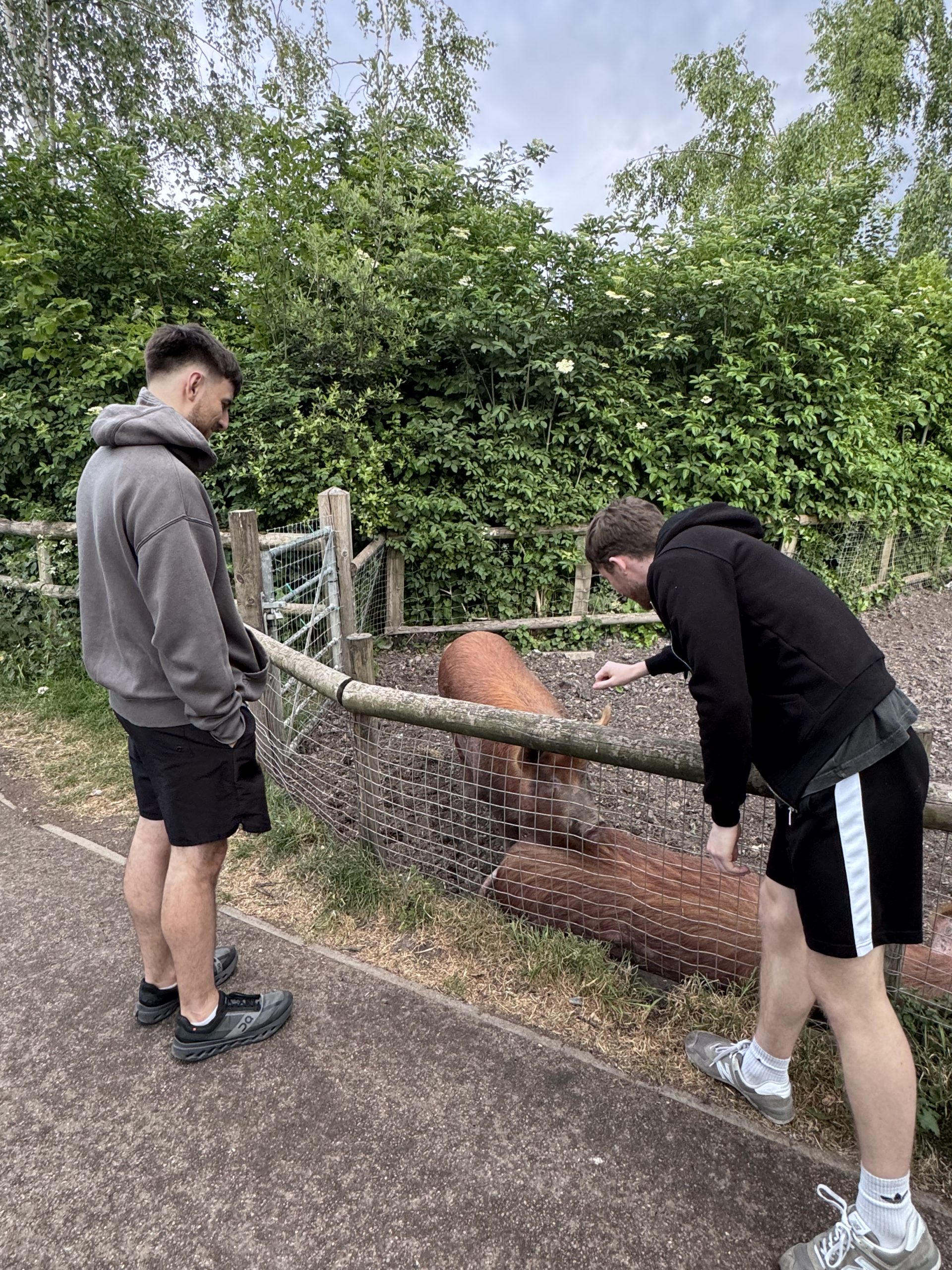 May social blog